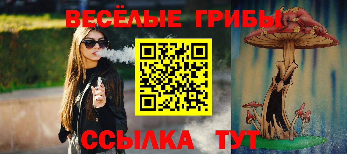 Галлюциногенные грибы мицелий  Вход с VPN  Галлюциногенные грибы Cubensis  Сердобск 